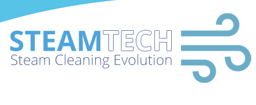 Steamtech Steam Cleaning Evolution logo